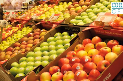 1334153788_corrugated-news